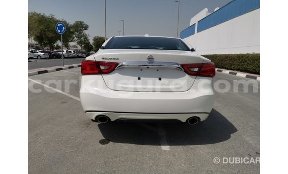 Buy Import Nissan Maxima White Car in Import - Dubai in Bujumbura Buy Import Nissan Maxima White Car in Import - Dubai in Bujumbura