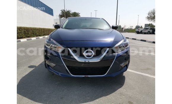 Acheter Import Voiture Nissan Maxima Bleu à Import - Dubai, Bujumbura Acheter Import Voiture Nissan Maxima Bleu à Import - Dubai, Bujumbura