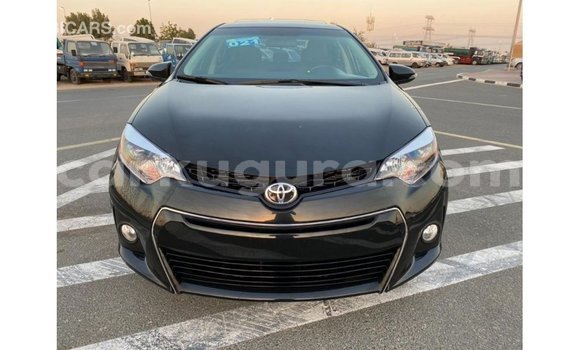 Buy Import Toyota Corolla Black Car in Import - Dubai in Bujumbura Buy Import Toyota Corolla Black Car in Import - Dubai in Bujumbura