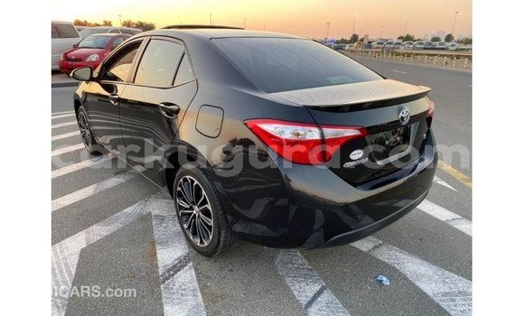 Buy Import Toyota Corolla Black Car in Import - Dubai in Bujumbura Buy Import Toyota Corolla Black Car in Import - Dubai in Bujumbura