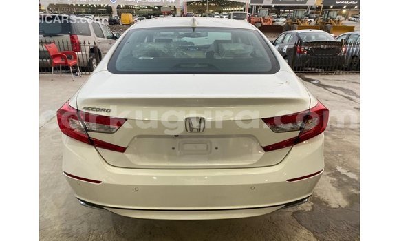 Nunua Imported Honda T Nyeupe Bike ndani ya Import - Dubai nchini Bujumbura Nunua Imported Honda T Nyeupe Bike ndani ya Import - Dubai nchini Bujumbura