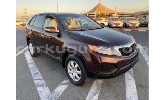 Buy Import Kia Sorento Brown Car in Import - Dubai in Bujumbura Buy Import Kia Sorento Brown Car in Import - Dubai in Bujumbura