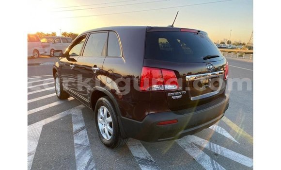 Buy Import Kia Sorento Brown Car in Import - Dubai in Bujumbura Buy Import Kia Sorento Brown Car in Import - Dubai in Bujumbura