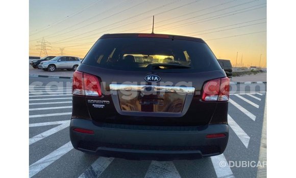 Buy Import Kia Sorento Brown Car in Import - Dubai in Bujumbura Buy Import Kia Sorento Brown Car in Import - Dubai in Bujumbura