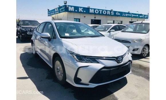 Nunua Imported Toyota Corolla Nyeupe Gari ndani ya Import - Dubai nchini Bujumbura Nunua Imported Toyota Corolla Nyeupe Gari ndani ya Import - Dubai nchini Bujumbura