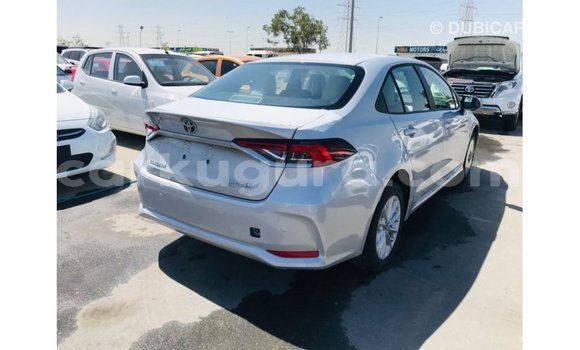 Nunua Imported Toyota Corolla Nyeupe Gari ndani ya Import - Dubai nchini Bujumbura Nunua Imported Toyota Corolla Nyeupe Gari ndani ya Import - Dubai nchini Bujumbura