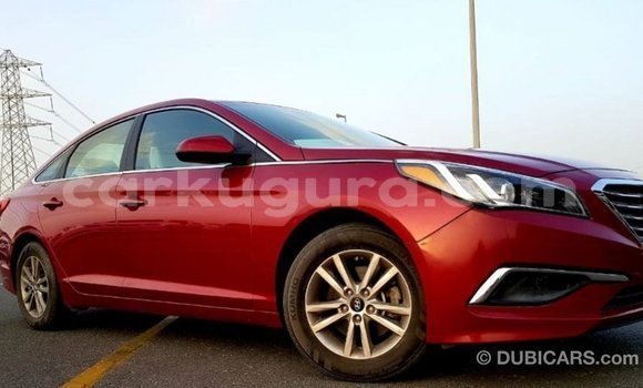 Buy Import Hyundai Sonata Red Car in Import - Dubai in Bujumbura Buy Import Hyundai Sonata Red Car in Import - Dubai in Bujumbura