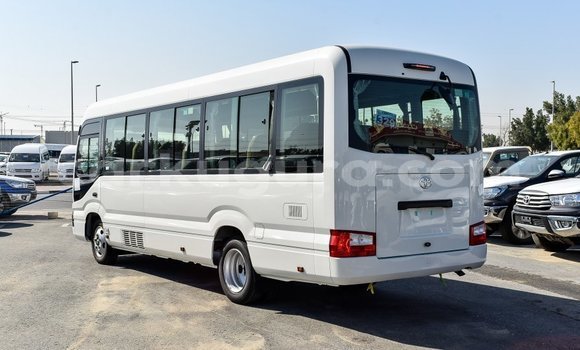 Buy Import Toyota Coaster White Car in Import - Dubai in Bujumbura Buy Import Toyota Coaster White Car in Import - Dubai in Bujumbura