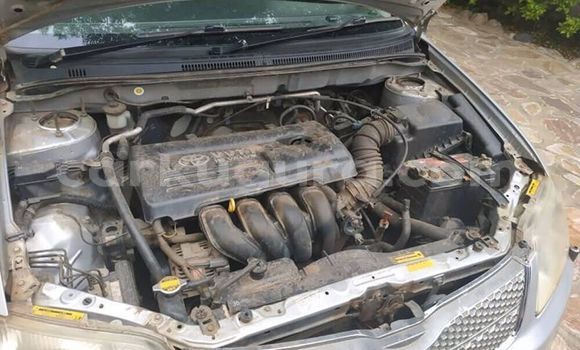 Acheter Occasion Voiture Toyota Corolla Gris à Bujumbura, Bujumbura Acheter Occasion Voiture Toyota Corolla Gris à Bujumbura, Bujumbura