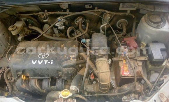 Acheter Occasion Voiture Toyota Probox Gris à Bujumbura, Bujumbura Acheter Occasion Voiture Toyota Probox Gris à Bujumbura, Bujumbura