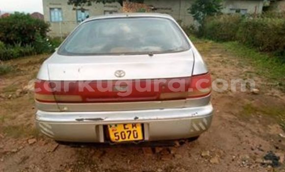 Acheter Occasion Voiture Toyota Corona Beige à Bujumbura, Bujumbura Acheter Occasion Voiture Toyota Corona Beige à Bujumbura, Bujumbura