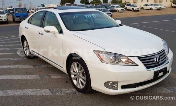 Acheter Import Voiture Lexus ES Blanc à Import - Dubai, Bujumbura Acheter Import Voiture Lexus ES Blanc à Import - Dubai, Bujumbura