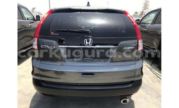 Buy Import Honda C Other Bike in Import - Dubai in Bujumbura Buy Import Honda C Other Bike in Import - Dubai in Bujumbura