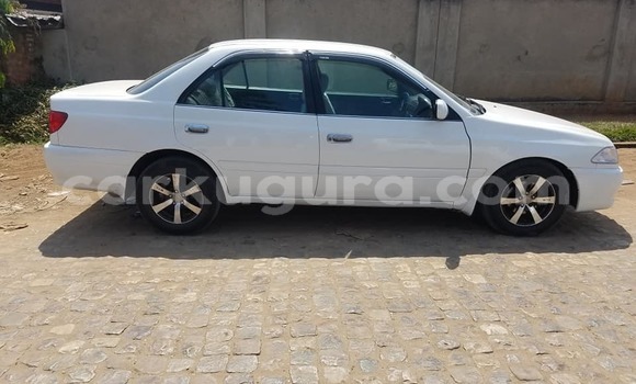 Buy Used Toyota Corolla White Car in Bujumbura in Bujumbura Buy Used Toyota Corolla White Car in Bujumbura in Bujumbura