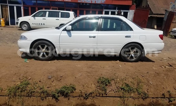 Buy Used Toyota Corolla White Car in Bujumbura in Bujumbura Buy Used Toyota Corolla White Car in Bujumbura in Bujumbura
