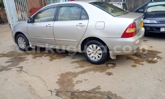 Buy Used Toyota Corolla Silver Car in Bujumbura in Bujumbura Buy Used Toyota Corolla Silver Car in Bujumbura in Bujumbura