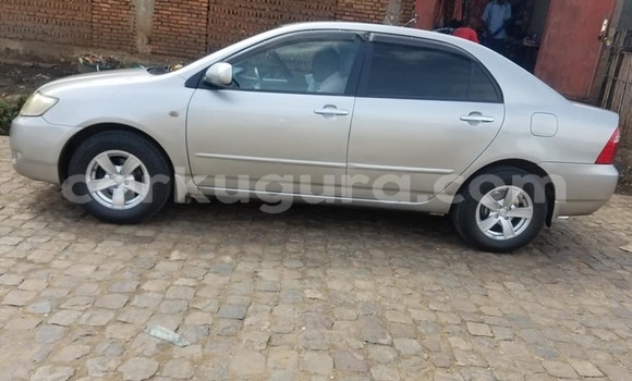 Buy Used Toyota Corolla Silver Car in Bujumbura in Bujumbura Buy Used Toyota Corolla Silver Car in Bujumbura in Bujumbura