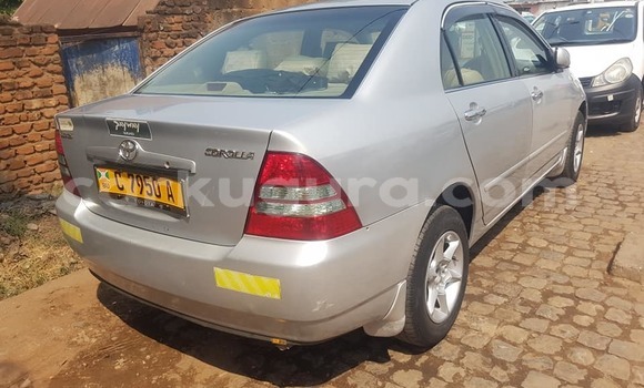 Nunua Ilio tumika Toyota Corolla Fedha Gari ndani ya Bujumbura nchini Bujumbura Nunua Ilio tumika Toyota Corolla Fedha Gari ndani ya Bujumbura nchini Bujumbura
