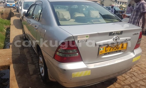 Nunua Ilio tumika Toyota Corolla Fedha Gari ndani ya Bujumbura nchini Bujumbura Nunua Ilio tumika Toyota Corolla Fedha Gari ndani ya Bujumbura nchini Bujumbura