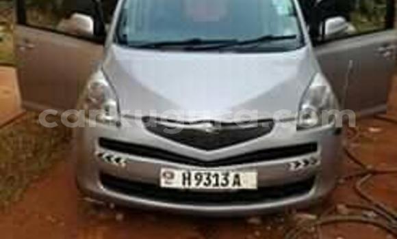 Buy Used Toyota Ractis Silver Car in Bujumbura in Bujumbura Buy Used Toyota Ractis Silver Car in Bujumbura in Bujumbura