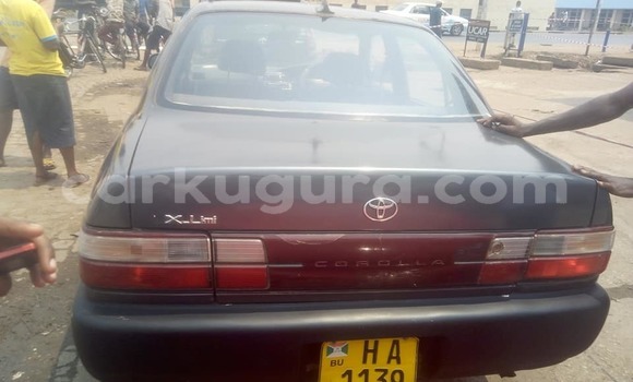 Buy Used Toyota Corolla Black Car in Bujumbura in Bujumbura Buy Used Toyota Corolla Black Car in Bujumbura in Bujumbura