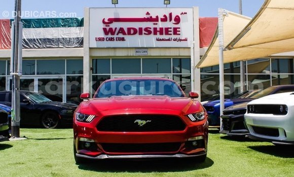 Buy Import Ford Mustang Red Car in Import - Dubai in Bujumbura Buy Import Ford Mustang Red Car in Import - Dubai in Bujumbura