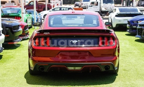 Buy Import Ford Mustang Red Car in Import - Dubai in Bujumbura Buy Import Ford Mustang Red Car in Import - Dubai in Bujumbura