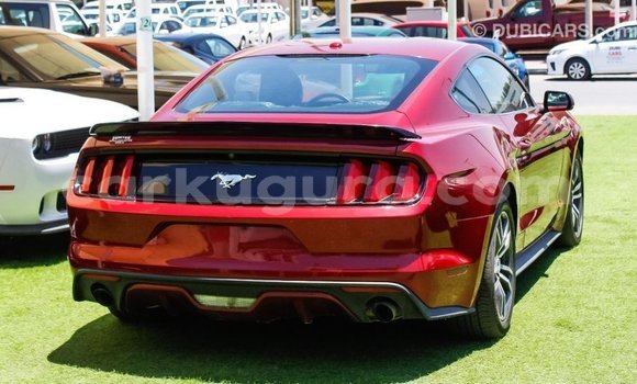 Buy Import Ford Mustang Red Car in Import - Dubai in Bujumbura Buy Import Ford Mustang Red Car in Import - Dubai in Bujumbura