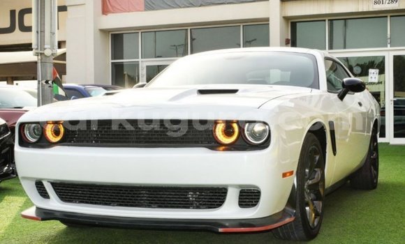 Acheter Import Voiture Dodge Challenger Blanc à Import - Dubai, Bujumbura