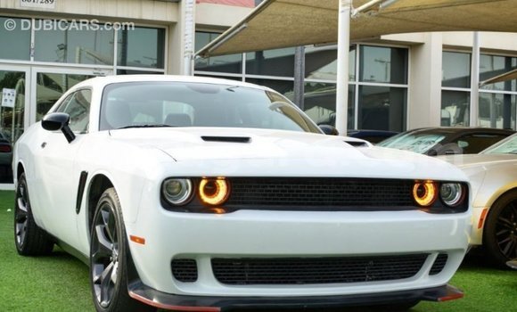 Buy Import Dodge Challenger White Car in Import - Dubai in Bujumbura Buy Import Dodge Challenger White Car in Import - Dubai in Bujumbura