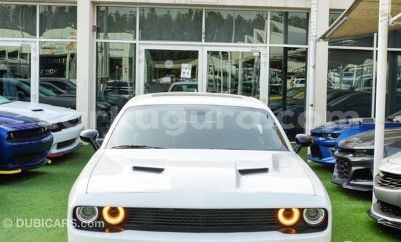 Buy Import Dodge Challenger White Car in Import - Dubai in Bujumbura Buy Import Dodge Challenger White Car in Import - Dubai in Bujumbura