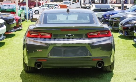 Buy Import Chevrolet Camaro Other Car in Import - Dubai in Bujumbura Buy Import Chevrolet Camaro Other Car in Import - Dubai in Bujumbura