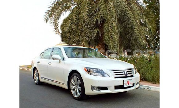 Acheter Import Voiture Lexus LS Blanc à Import - Dubai, Bujumbura