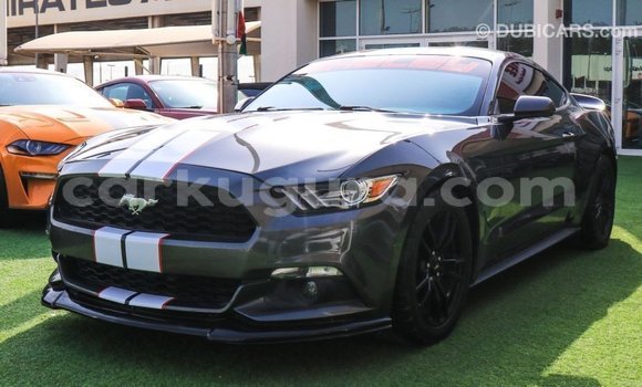 Buy Import Ford Mustang Other Car in Import - Dubai in Bujumbura Buy Import Ford Mustang Other Car in Import - Dubai in Bujumbura