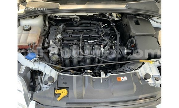 Buy Import Ford Focus White Car in Import - Dubai in Bujumbura Buy Import Ford Focus White Car in Import - Dubai in Bujumbura