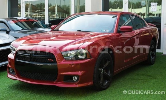 Buy Import Dodge Charger Red Car in Import - Dubai in Bujumbura Buy Import Dodge Charger Red Car in Import - Dubai in Bujumbura
