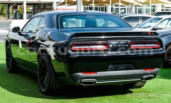Buy Import Dodge Challenger Black Car in Import - Dubai in Bujumbura Buy Import Dodge Challenger Black Car in Import - Dubai in Bujumbura