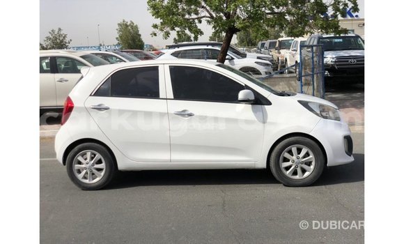 Buy Import Kia Picanto White Car in Import - Dubai in Bujumbura Buy Import Kia Picanto White Car in Import - Dubai in Bujumbura