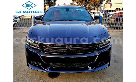 Acheter Import Voiture Dodge Charger Bleu à Import - Dubai, Bujumbura