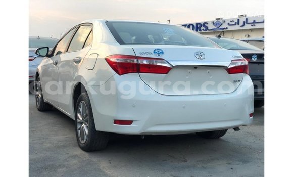 Nunua Imported Toyota Corolla Nyeupe Gari ndani ya Import - Dubai nchini Bujumbura Nunua Imported Toyota Corolla Nyeupe Gari ndani ya Import - Dubai nchini Bujumbura