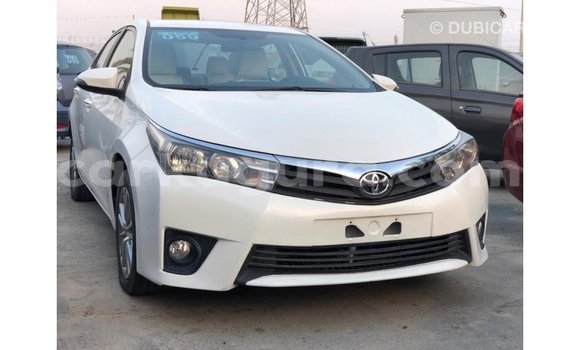 Nunua Imported Toyota Corolla Nyeupe Gari ndani ya Import - Dubai nchini Bujumbura Nunua Imported Toyota Corolla Nyeupe Gari ndani ya Import - Dubai nchini Bujumbura