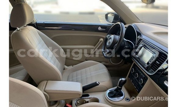 Buy Import Volkswagen Beetle Black Car in Import - Dubai in Bujumbura Buy Import Volkswagen Beetle Black Car in Import - Dubai in Bujumbura
