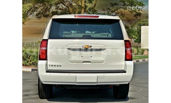 Buy Import Chevrolet Tahoe White Car in Import - Dubai in Bujumbura Buy Import Chevrolet Tahoe White Car in Import - Dubai in Bujumbura