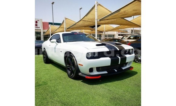 Acheter Import Voiture Dodge Challenger Blanc à Import - Dubai, Bujumbura
