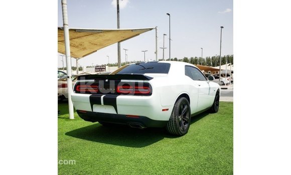 Buy Import Dodge Challenger White Car in Import - Dubai in Bujumbura Buy Import Dodge Challenger White Car in Import - Dubai in Bujumbura