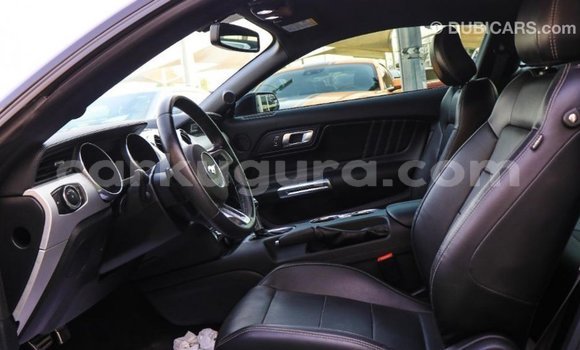 Buy Import Ford Mustang Black Car in Import - Dubai in Bujumbura Buy Import Ford Mustang Black Car in Import - Dubai in Bujumbura