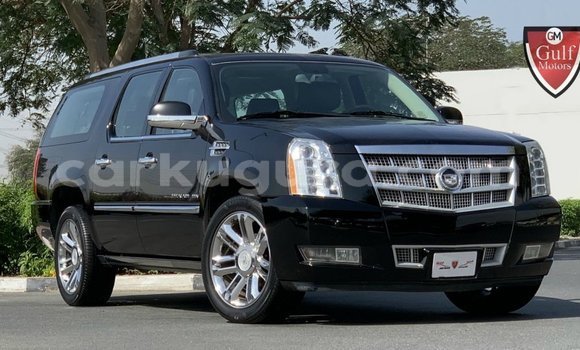 Acheter Import Voiture Cadillac Escalade Noir à Import - Dubai, Bujumbura