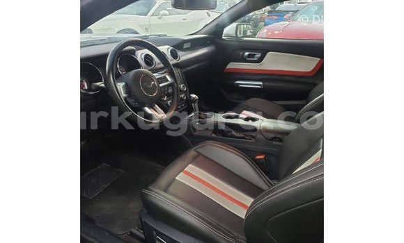 Buy Import Ford Mustang Other Car in Import - Dubai in Bujumbura Buy Import Ford Mustang Other Car in Import - Dubai in Bujumbura