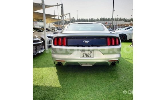 Buy Import Ford Mustang Other Car in Import - Dubai in Bujumbura Buy Import Ford Mustang Other Car in Import - Dubai in Bujumbura