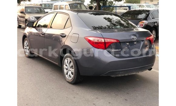 Nunua Imported Toyota Corolla Nyingine Gari ndani ya Import - Dubai nchini Bujumbura Nunua Imported Toyota Corolla Nyingine Gari ndani ya Import - Dubai nchini Bujumbura